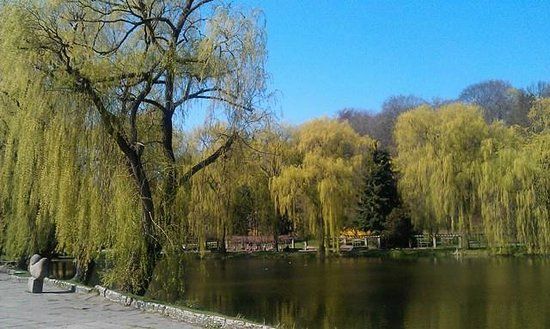 Spacery nad Motławą